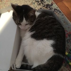 Meet your Posher, Tina